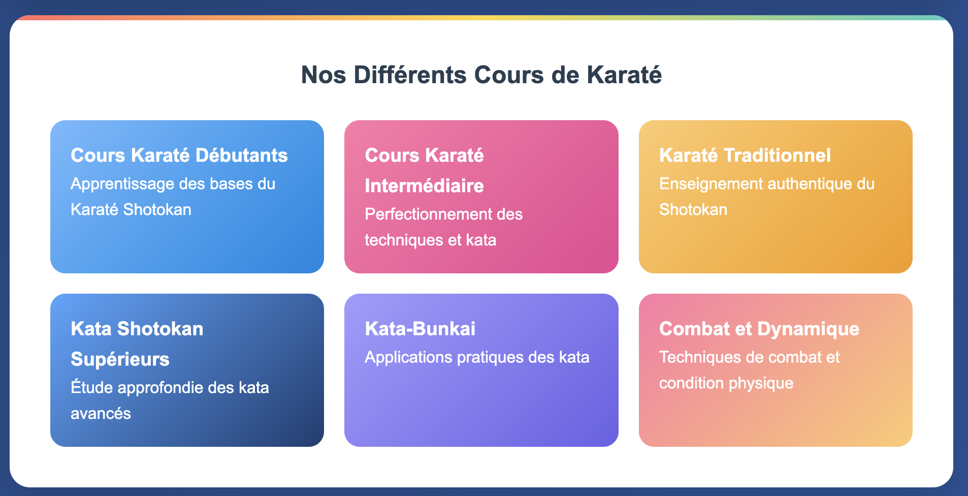 Cours karaté paris midi